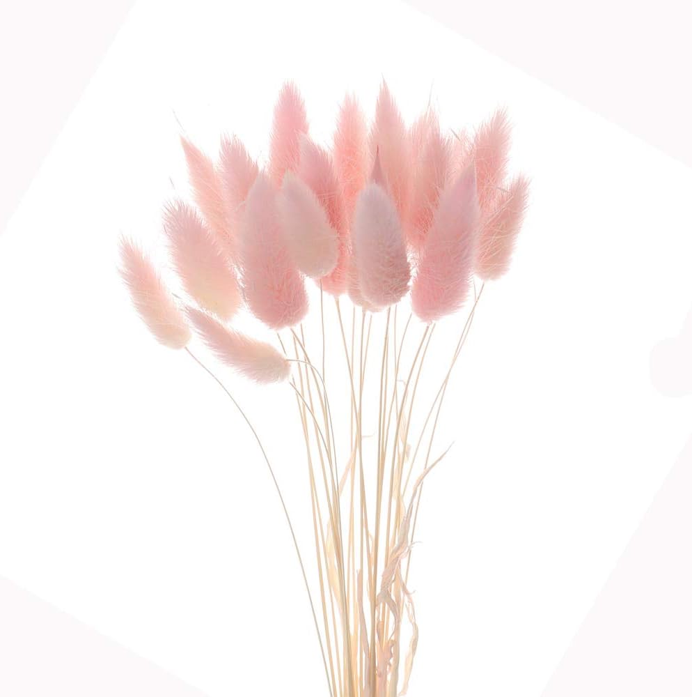 DUHUANG Colorful Pastoral Style Natural Material Shooting Props Artificial Uraria Picta Lagurus Ovatus Dried Flowers Bouquets Bunny Tails Rabbit Tail Grass