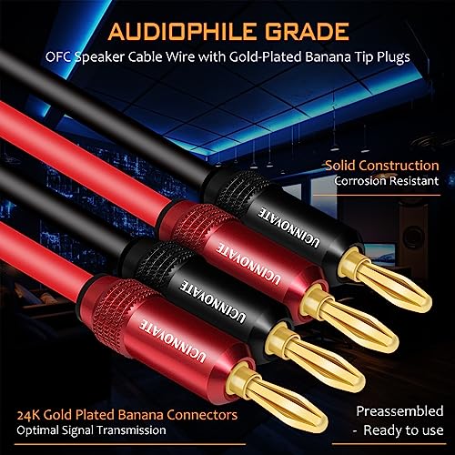VVFLED 2 Pack Bi-wire Speaker Cable with Gold Plated Banana Plugs - Image 2