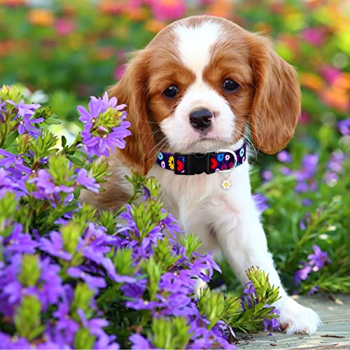 Ktinnead Dog Collar, Floral Dog Collars With Cute Charm, Adjustable Dog Collars For Small Medium Large Dogs,Male Female,Running Walking Playing Exercise,Wedding Holiday,Multiple Pattern #TOP2