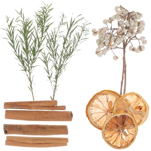 Flores secas DIY para manualidades y decoración miniatura 1