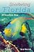 Snorkeling Florida: 50 Excellent Sites