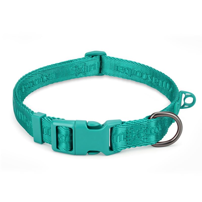 Dog Collar, Durable Nylon Construction, Adjustable Size, Marrs Green, XL