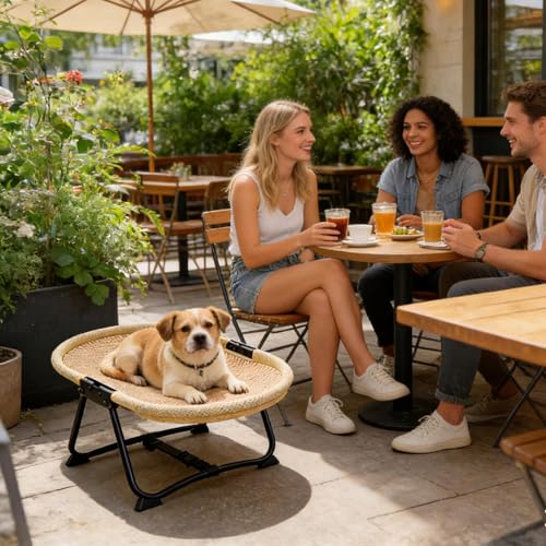 Lit surélevé pour chien accessoire de camping confortable
