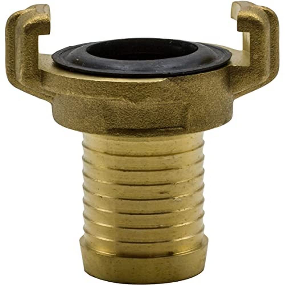Riegolux 291510 Brass Fitting Connector Hose 19 mm, Pack of 2 D/B, Multicoloured