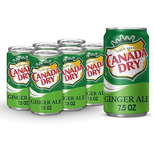Canada Dry Ginger Ale, 7.5 Fl Oz Cans (Pack Of 6) #TOP2
