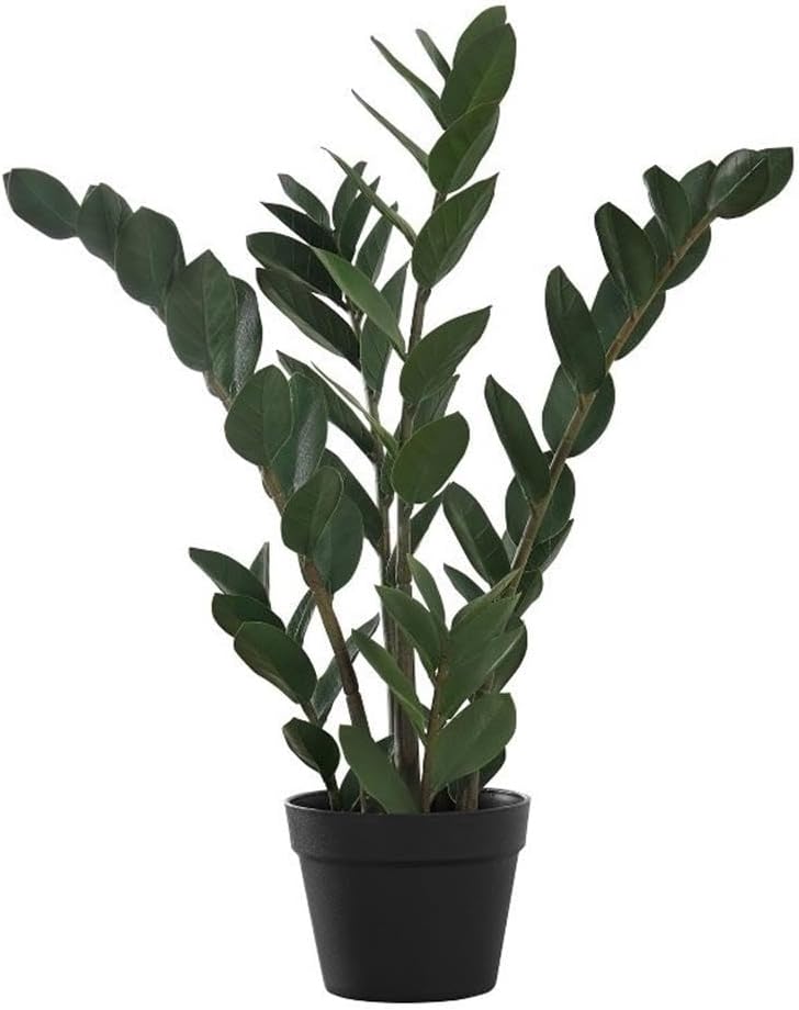 Monarch Specialties I 9506 Artificial Plant, 29" Tall, Zz Tree, Indoor, Faux, Fake, Floor, Greenery, Potted, Real Touch, Decorative, Green Leaves, Black Pot