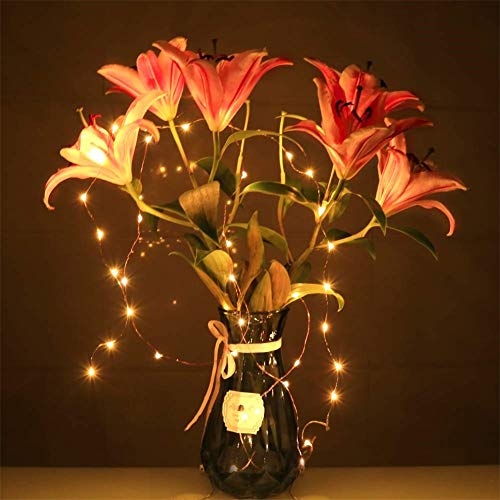 4 Pack Battery Operated Dewdrop Led Lights,Indoor Mini Fairy Lights With Timer Function,For Wedding Home Parties Christmas Holiday Decoration,6 Hours on/18 Hours Off ,30 Count LEDs,10 Feet(Warm white) by yongzhenlite - Image 3