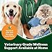 Furnyx Sting-Free Wound & Skin Care Spray for Dogs, Cats & Pets | Vet-Grade Repair Mist for Cuts, Hot Spots, Rashes, Burns & Itch Relief | Non-Toxic, No Alcohol, Lick-Safe, No Residue (8 fl oz)