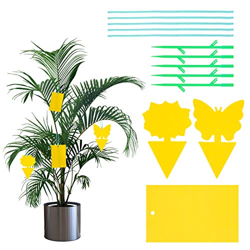 Preisvergleich Produktbild Veraing 40 Stück Frucht Fliegenfalle, Gelbtafeln Klebrige Insektenfallen Tafeln Fliegenfänger für Gegen Trauermücken, Raupenleim, Nematoden, Blattläuse