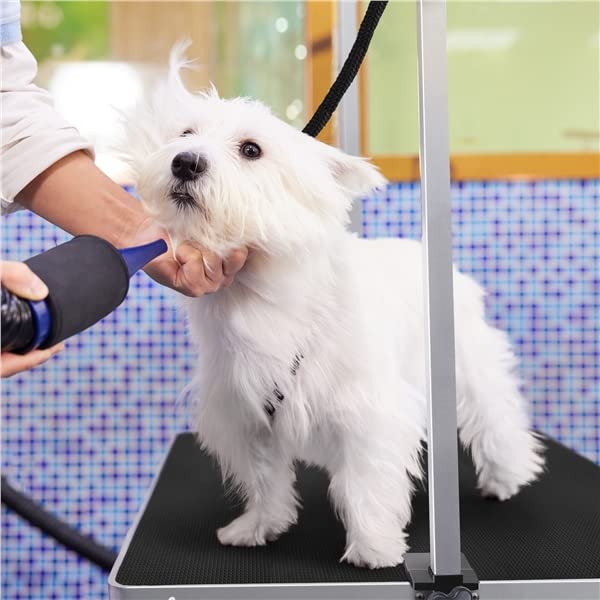 Abician Table de Toilettage Pliante pour Gros Chien Hauteur Réglable 113,5 × 61 × 76 cm Charge Maximale 120 kg Noir