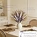 Hapart Purple Dried Pampass Grass Arrangements All-Natural Dried Plants with Bunny Tails Baby Breath Floral Centerpieces for Vase Tables Livingroom Wedding Boho Decor Floral Centerpieces for Tables