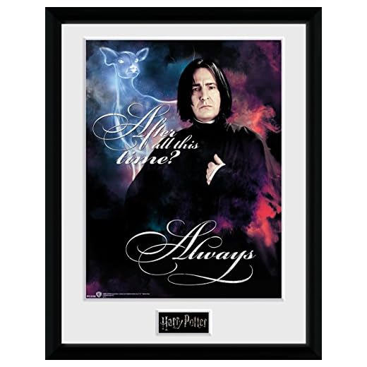 GBeye Collector Print – Harry Potter Snape Always 30 x 40 cm, PFC2550 52 x 44 x 3 cm, olika