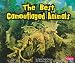 The Best Camouflaged Animals (Extreme Animals)