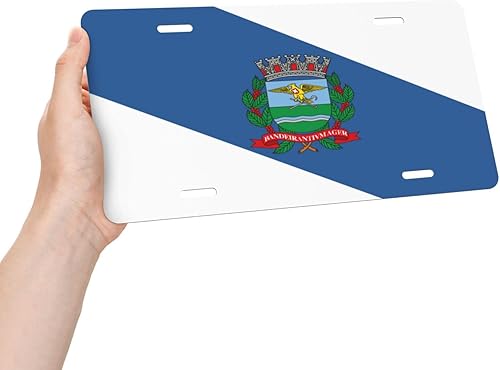 Miniatura 9 de Placa de matrícula de aluminio para automóvil de 6 x 12 pulgadas, placa frontal de metal novedosa, etiqueta frontal de automóvil, accesorios