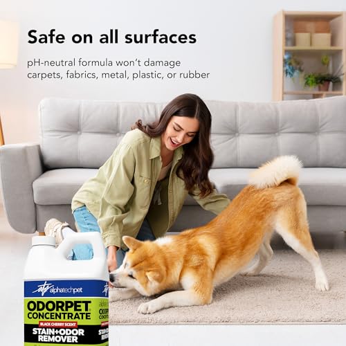 Image of OdorPet Pet Stain Remover and Odor Eliminator - 64 Oz (Makes 2.55 Gallons of Working Solution) Non Staining, Professional Strength, Black Cherry Scent by Alpha Tech Pet