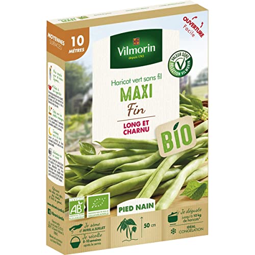 Haricot Nain Vert Maxi - 10 m - BIO