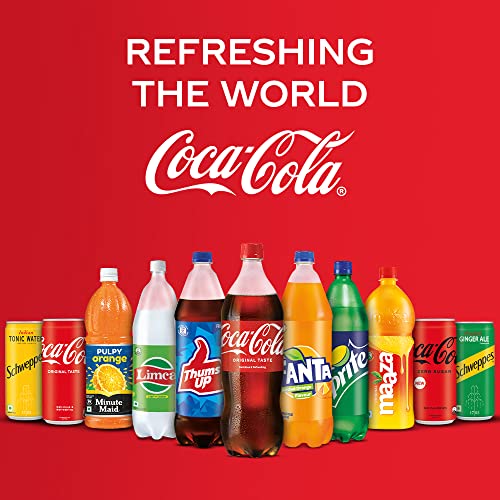 Fanta Can 300Ml #TOP6