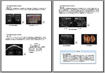 表在エコ-の実学 乳腺・甲状腺・その他  /医療科学社/杉山高（単行本） 表在エコーの実学─乳腺・甲状腺・その他─ | 杉山 高 |本