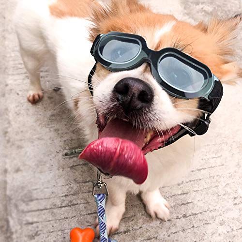 Enjoying Dog Goggles Small Dog Sunglasses Uv Protection Big Cat Glasses Fog/Windproof Outdoor Doggy Eye Protective With Adjustable Band For Small Dogs, Black #TOP1