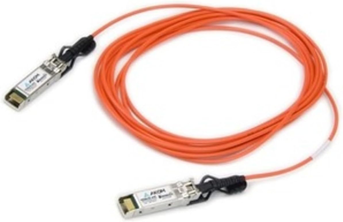 油絵 現代アート Shu 朱 作者 あんどうまさひろ 油彩画 東京藝術大学