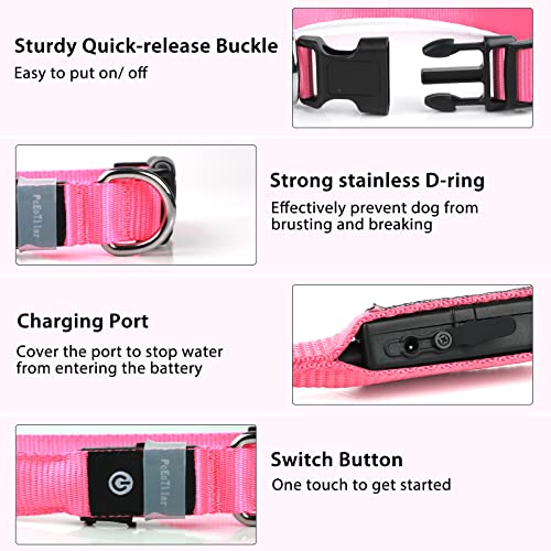 Pceotllar Light Up Dog Collar For Night Walking - Led Dog Collar Light Rechargeable Color Changing, Glow In The Dark Dog Collars Waterproof Glowing Dog Collars For Large Small Medium Dogs #TOP2