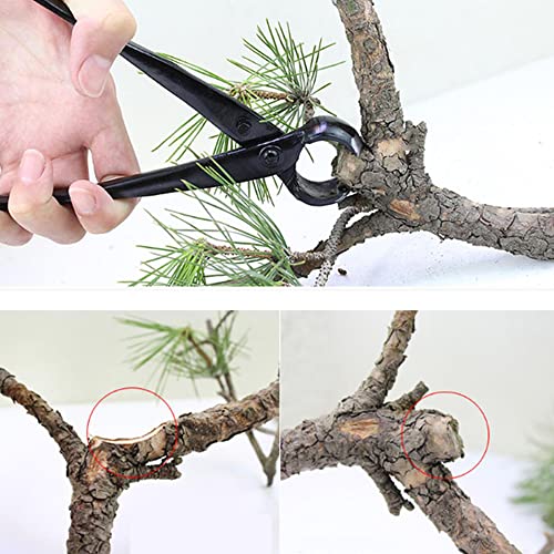 Ferramentas profissionais de manutenção de jardinagem Bonsai Ferramentas Bola Nó Tesoura Ramo Alicat