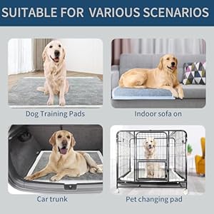   Dog-Pee-Pads-Extra-Large-28-x-36-50-Count-Charcoal-Puppy-Pads-XL-Potty-Pet-Training-Pads-with-Adhesive-Sticky-Tape-Super-Absorbent-Leak-Proof-Disposable-Pad-for-Doggies
