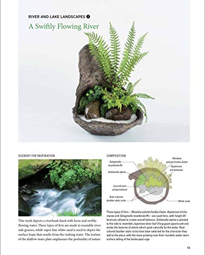 Miniature Japanese Gardens: Beautiful Bonsai Landscape Gardens for Your Home