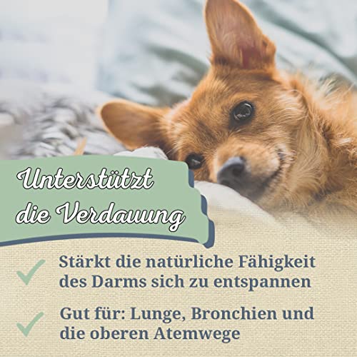 Krauterie Fenchelsamen Hund, Einzelfuttermittel für Hunde (100 g), Fenchelsamen Geschrotet in Spitzenqualität