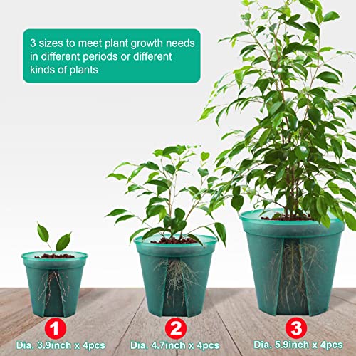 Greenpara Green Transparent Plastic Planter 4/5 /6 Inch Plant Nursery Pots With Drainage Hole Indoor Modern Decorative Containers For Orchid Plants Herb Flowers Cactus With 10Pcs Plant Labels, 12Pcs #TOP2