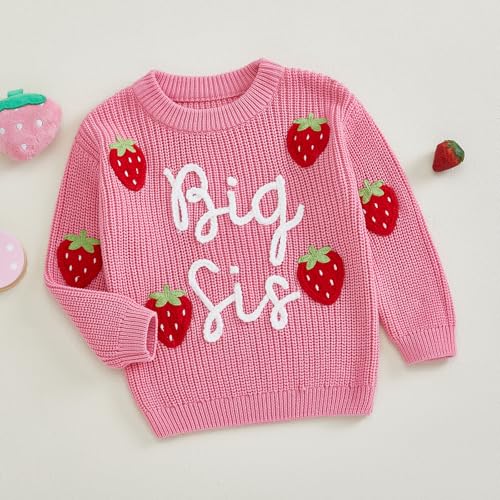 Kids Toddler Girls Pullover Sweater Big Sis Strawberry Embroidery Long Sleeve Knit Tops Fall Winter Clothes3