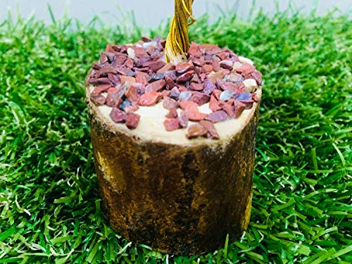 Image of ZAICUS Rudraksha Beads Money Tree Feng Shui Bonsai Golden Wire