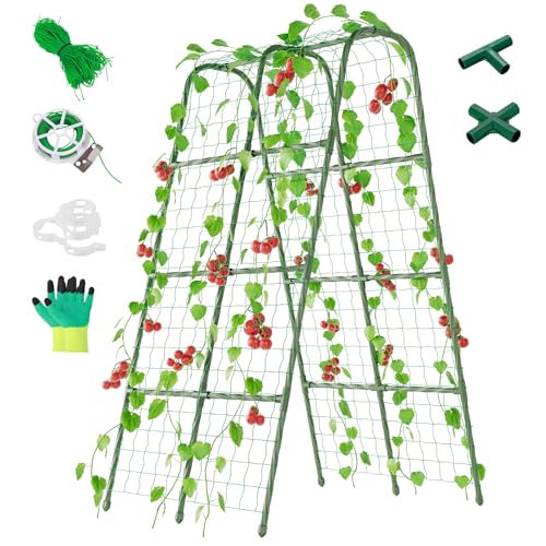 Miory Cucumber Trellis for Raised Bed, Garden Arch Trellis for