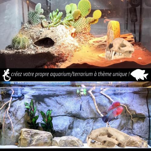 Kocris Casa Décoration D'Aquarium Terrarium Statues Dinosaure Crane Décor Decoration Halloween Tete De Mort Decoration Deco Crâne Squelette Paysagère pour Aquarium – vue 5