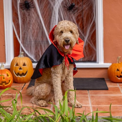 Disfraz de Vampiro para Perro Halloween L miniatura 3
