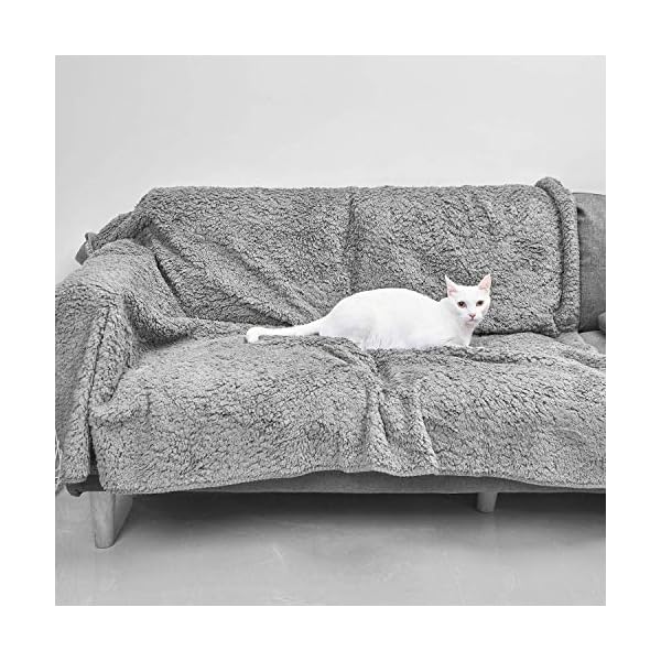 Topblan Waterproof Fluffy Fleece Dog Blanket Soft and Warm Pet Throw for Dogs & Cats, Double-Sided Premium and Plush Reversible Multi-Purpose Lightweight Pet Blanket 60″ x 80″ Grey Topblan Waterproof Fluffy Fleece Dog Blanket Soft and Warm Pet Throw for Dogs & Cats, Double-Sided Premium and Plush Reversible Multi-Purpose Lightweight Pet Blanket 60″ x 80″ Grey