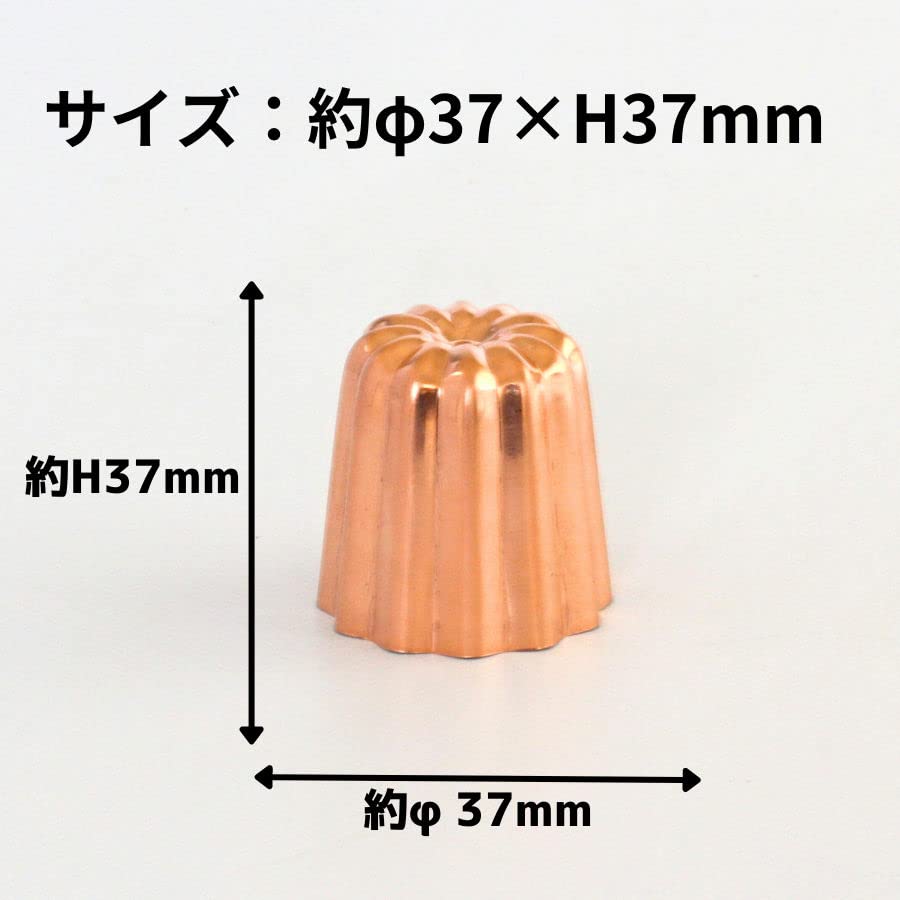 Amazon | 浅井商店 銅 カヌレ型 プチ | ノーブランド品 | マドレーヌ型