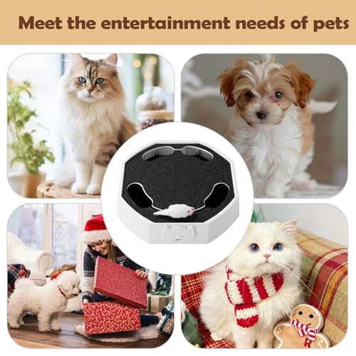 Jouet électronique pour chat rechargeable et interactif pour l'appartement