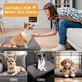 PET SPPTIES Hundebett Weiches und Warmes Matten Hundekissen Waschbarn kuschelig Umkehrbar Haustier Sofakissen PS085 (90X70 cm, Grau)