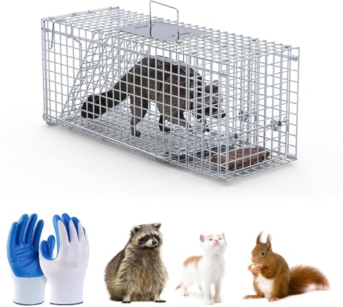 Image of 26" Live Animal Cage Trap, Heavy Duty Folding Raccoon Traps with 1x Pair of Gloves, Humane Cat Trap Galvanized Steel Animal Live Trap Cage for Raccoons Beavers Groundhogs Foxes Armadillos