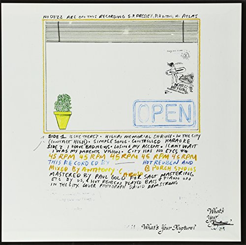 Nodzzz [Disco de Vinil]