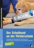 Der Schulhund an der Förderschule: Grundlagen und Praxistipps für den Einsatz von Sch ulhunden im Förderschwerpunkt geistige Entwicklung (Alle Klassenstufen) ... Grundsteine Schulalltag - SoPäd)