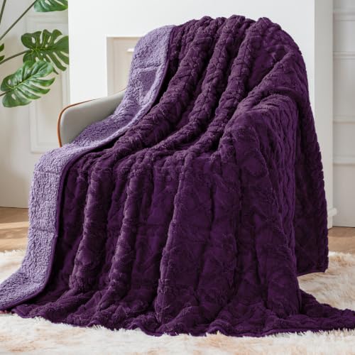 Image of Sherpa Fleece Adult Weighted Blanket Great for Sleep, 20 lbs Dual Sided Soft Fuzzy Heavy Blankets for Couch Bed Sofa, Cozy Warm Fluffy Jacquard Throw for Winter (Purple, 60 inch x 80 inch, 20 Pounds)