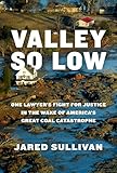 Valley So Low: One Lawyer's Fight for Justice in the Wake of America's Great Coal Catastrophe