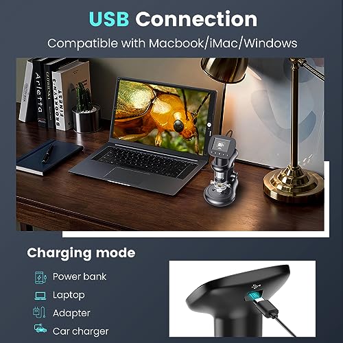 Image of Kids Microscope for Ages 8-12, Handheld Digital Microscope D-MS1 with 2 inch IPS Screen - Take Pictures & Videos - Download to PC & Mac - 1000X Pocket Microscope, Used Birthday for Kids