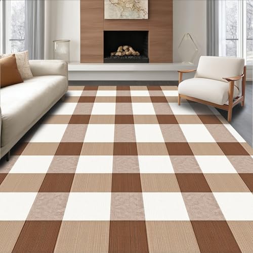 ODIKA Flatwoven High Traffic Area Rug 5x7, Layered Checkered Door