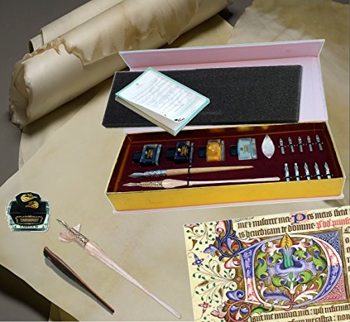 Daveliou 19-Piece Deluxe Calligraphy Set For Beginners And Professionals, Creates Clean And Smooth Lines, Calligraphy Kit Includes Pens, Inks, Nibs, And Case (Pink & Silver) #TOP6