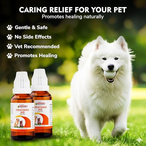Image of Bakson Veterinary Creatinine Aid Drops for Pets | Natural Homoeopathic Renal Support | Helps Maintain Creatinine Levels & Kidney Function | Gentle, Non-Toxic & Safe Long-Term Care - 30ML