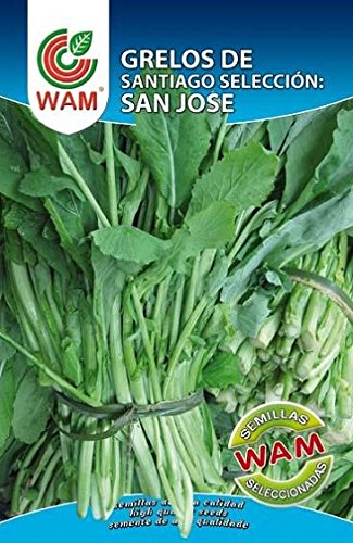 Grelos de San Jose 250 Gr