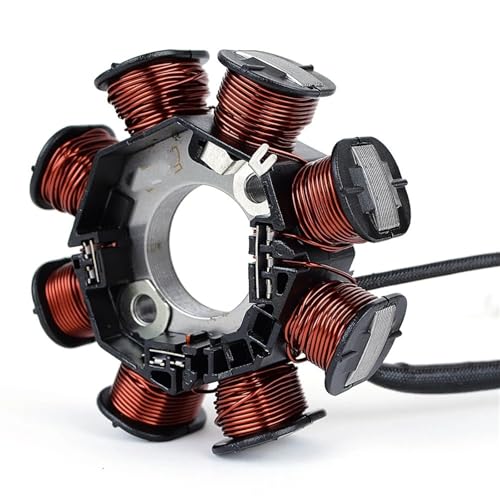 Stator d'allumage pour Kawasaki KLX110 idéal pour vos sorties